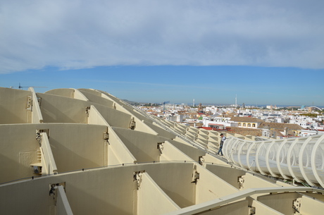 Setas de Sevilla