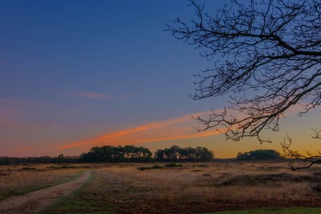 Zonsopkomst op de heide