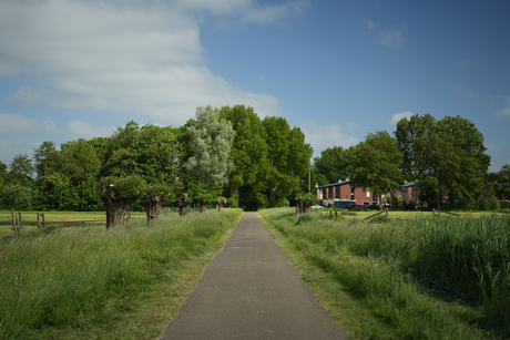 Wandelpad door de polder 🚶🌳🌾