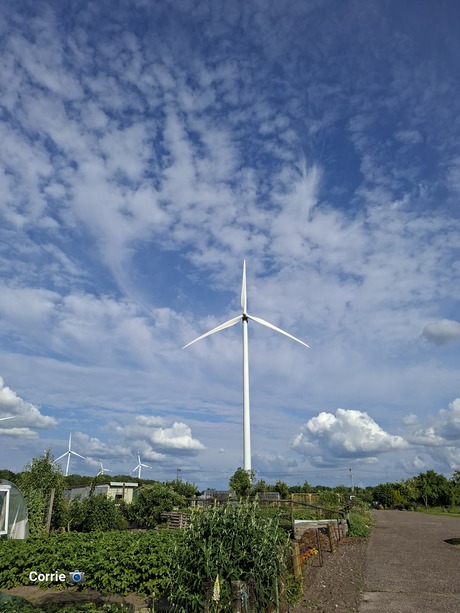 Lucht met wolkjes 