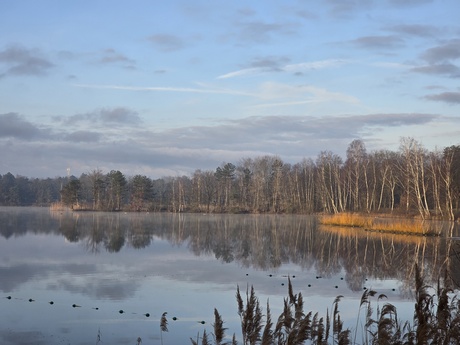 Ochtend