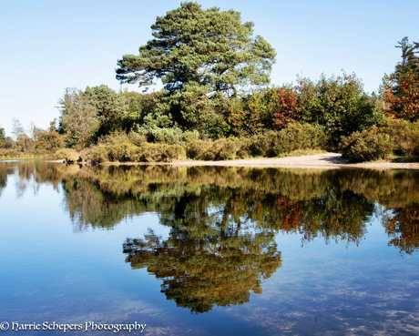 Reflectie in de Haarplas