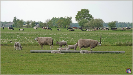 Boerderijcamping …