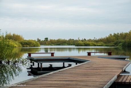 Waterpartij met een vlonder op de Grote Peel 