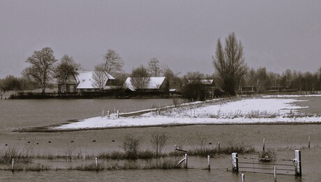 Winter uiterwaarden IJssel 