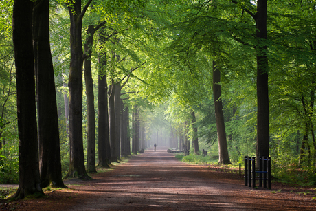 Ochtendwandeling