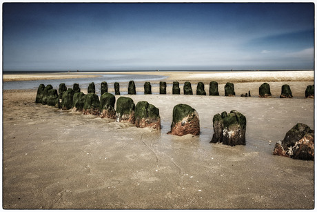 Strand Renesse