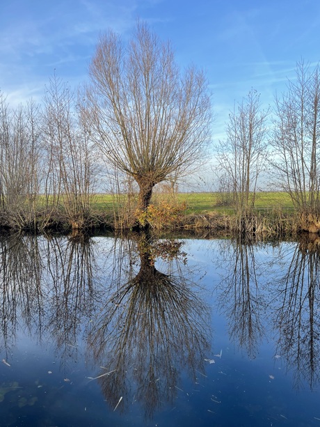 Weerspiegeling