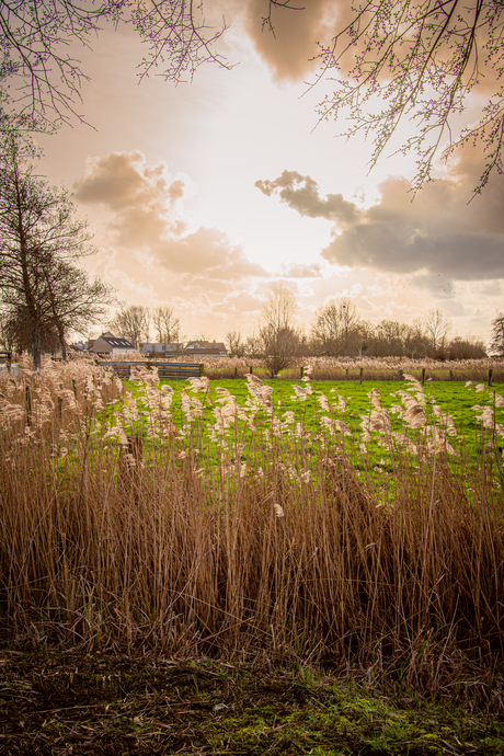 laatste licht van de dag