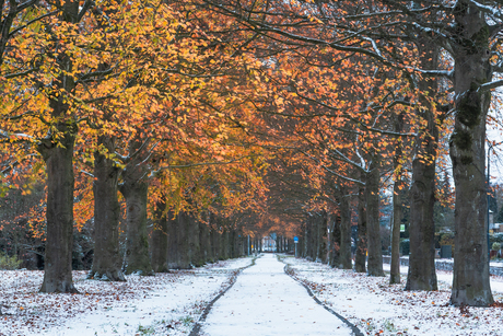 Herfst ontmoet Winter