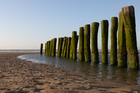 Paaltjes in de zee