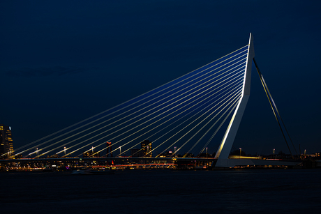 Rotterdam