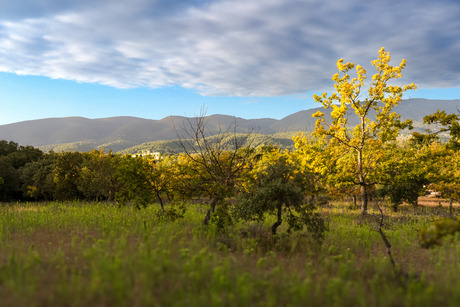 Provencaals vergezicht