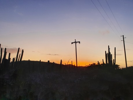 Silhouet bij zonsondergang 