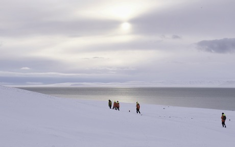 winterwandeling