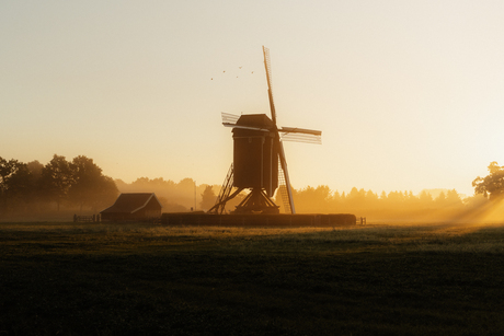 Prachtig ochtendlicht