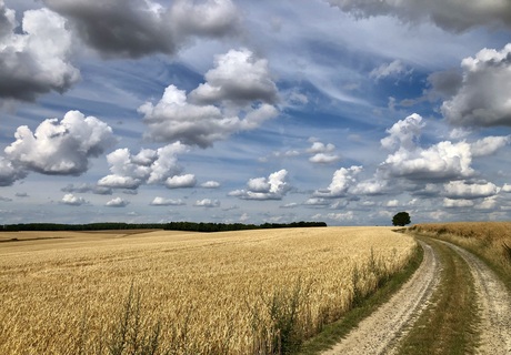 "Graanschuur" van Europa.