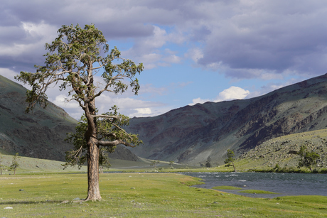 Bajan Ulgii region