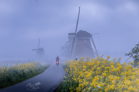 Grijze lente-ochtend