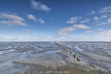 Het Friese Wad