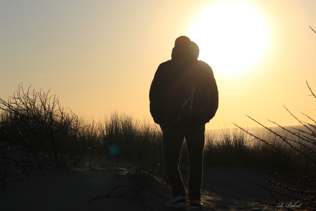 Op de top van de duinen