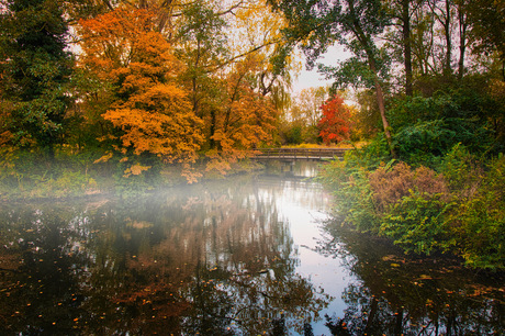 Herfst in het park