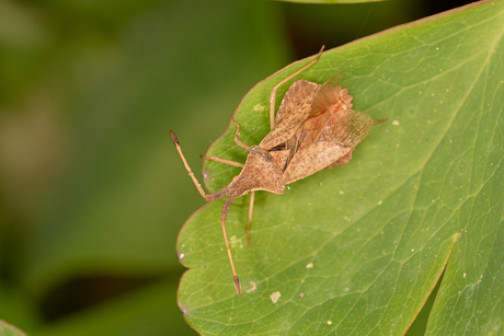Klaar om het luchtruim te verkennen