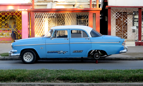 Waiting Dodge classic 1955