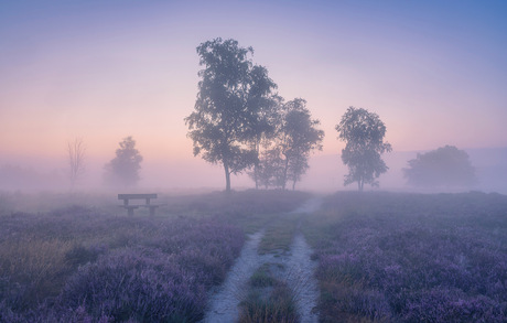 Balloo - Break of dawn