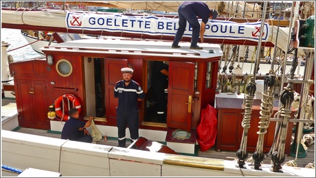 Je hebt luxe paarden en werkpaarden......