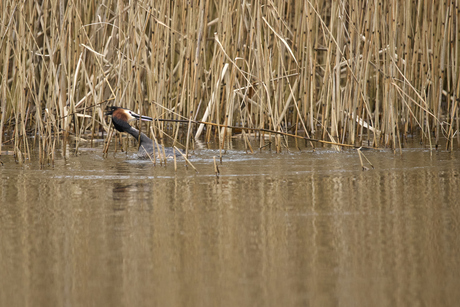 Bezig aan het bouwen
