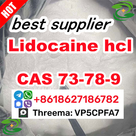 CAS No.73-78-9 Lidocaine hydrochloride Suppliers