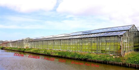 20210516 142551  Westland ten top  Oude warenhuizen  Naaldwijk 16 mei 20201 