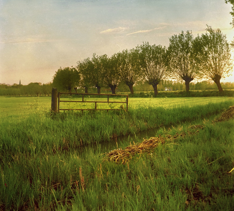 Landschap 