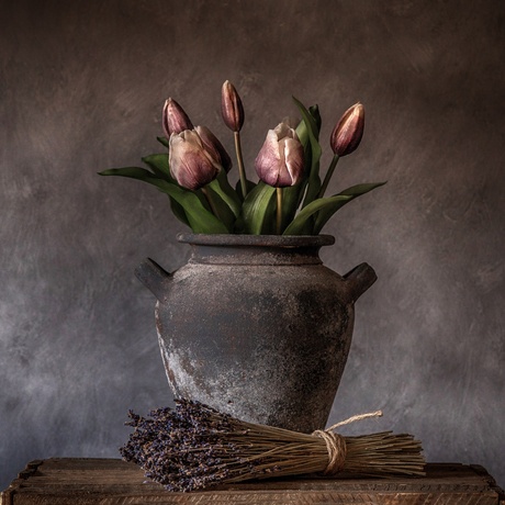 Tulpen en Lavendel