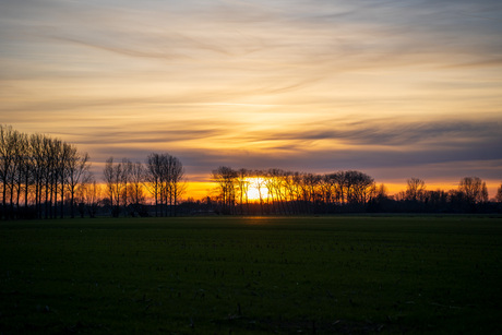 Laatste Licht: Zonsondergang door de Bomenrij