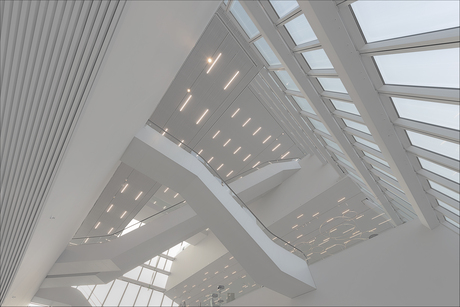 Forum, fijntjes de lijntjes (1)