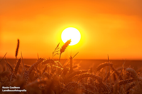 Zonsondergang 