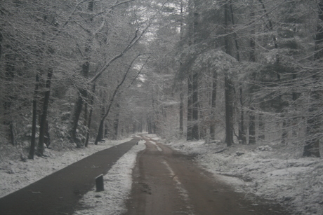 Arnhemse karweg