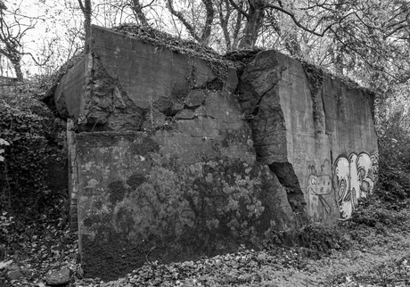 Beschadigde bunker 203a - Vetschau 