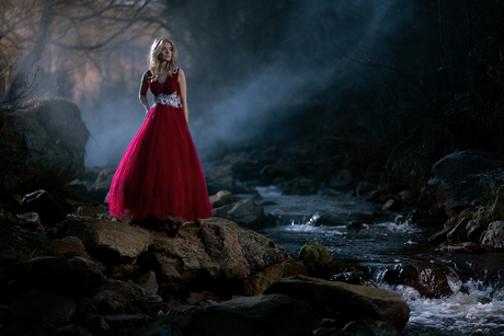Whispers of the forest stream