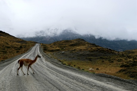 Torres del Paine