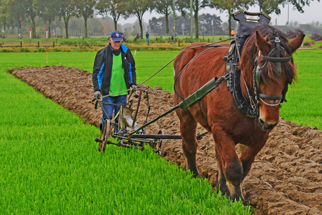 nostalgisch terugkijken