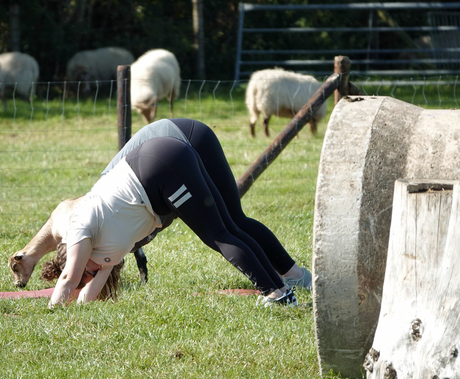 Trainen
