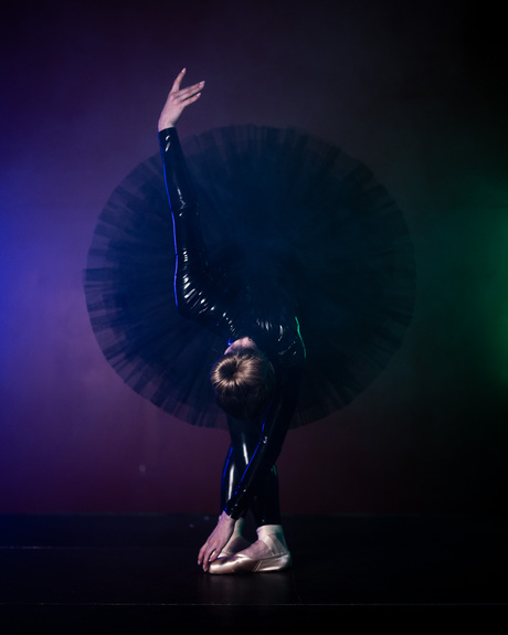 Zoom Playground Ballet