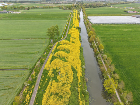 Fietsen en wandelen