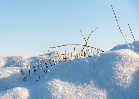 Winterwonderland