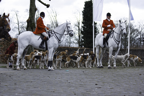 ruiters hofman en de honden