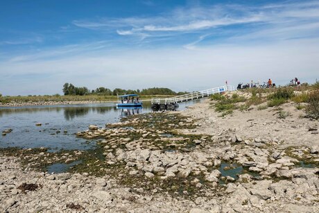 Laag water aan de Maas