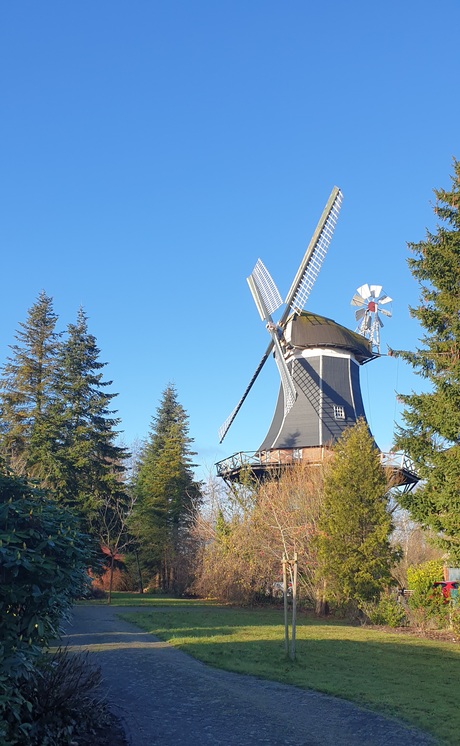 Duitse molen